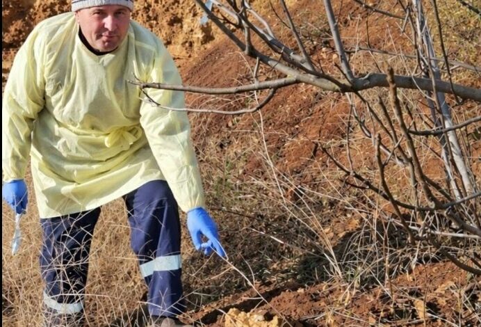 Вакцина без відлову: диких тварин на Миколаївщині та Одещині захищають від сказу