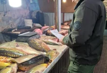 Перевірка законності продажу риби на ринках Миколаєва