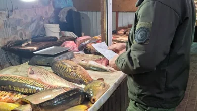Перевірка законності продажу риби на ринках Миколаєва