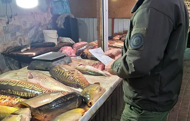 Перевірка законності продажу риби на ринках Миколаєва