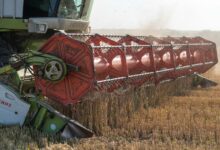 Урожай зернових на Одещині