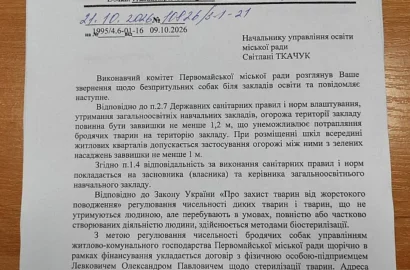 Безпритульні собаки біля гімназії №5 у Первомайську