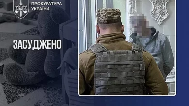 Справа про вбивство шестимісячної дитини на Кіровоградщині та підтвердження довічного вироку