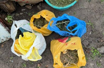 Канабіс, вилучений під час обшуку в жителя Вознесенського району