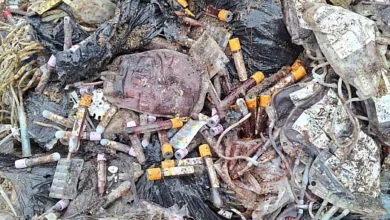 Медичні відходи, виявлені закопаними на території комунального медзакладу Миколаєва