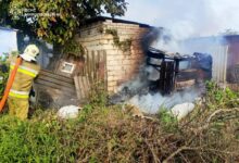 Гасіння пожежі рятувальниками ДСНС на Миколаївщині
