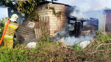 Гасіння пожежі рятувальниками ДСНС на Миколаївщині