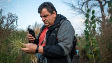 Відновлення природних екосистем на місці колишнього Каховського водосховища