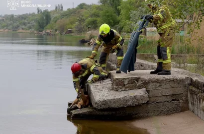 Рятувальники відвідують врятовану козулю Сашку в Миколаївському зоопарку