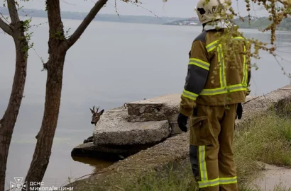 Рятувальники відвідують врятовану козулю Сашку в Миколаївському зоопарку