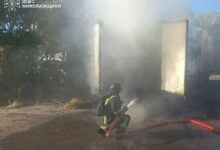 Ліквідація пожежі на Миколаївщині рятувальниками ДСНС