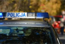 Напад на 12-річного українського хлопця біля торгового центру Serenada в Кракові