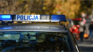 Напад на 12-річного українського хлопця біля торгового центру Serenada в Кракові