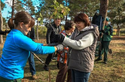 Висаджування молодих дубів на честь українських захисників у парку «Ліски» в Миколаєві