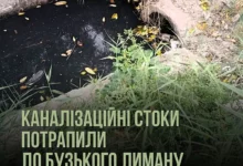 Забруднення Бузького лиману каналізаційними стоками в Заводському районі Миколаєва