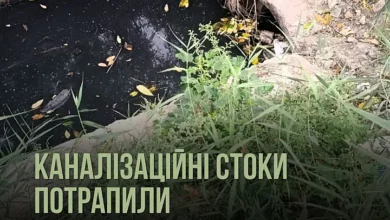 Забруднення Бузького лиману каналізаційними стоками в Заводському районі Миколаєва
