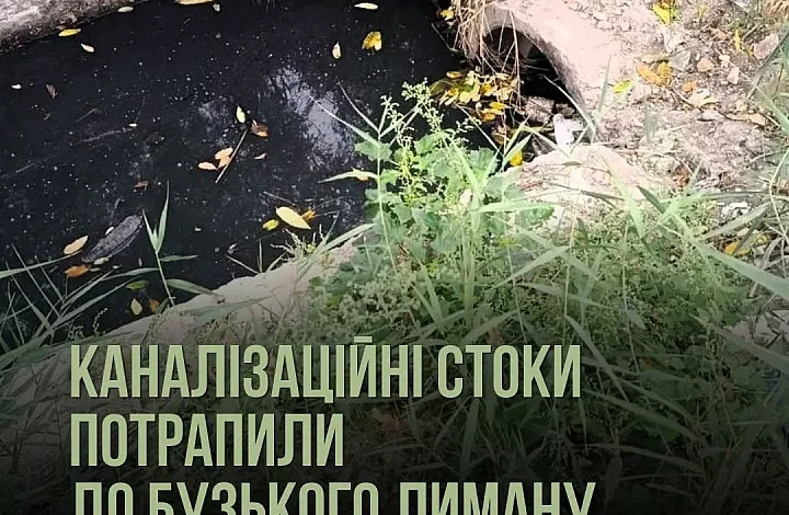 Забруднення Бузького лиману каналізаційними стоками в Заводському районі Миколаєва