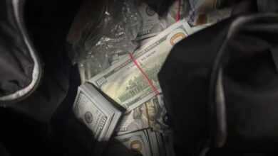 Шахрайство на Київщині, через яке пенсіонерка втратила понад 13,3 мільйона гривень