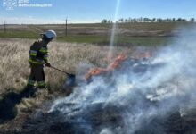 Ліквідація пожеж на Миколаївщині