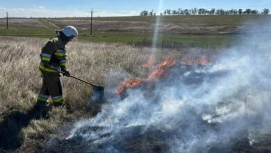 Ліквідація пожеж на Миколаївщині