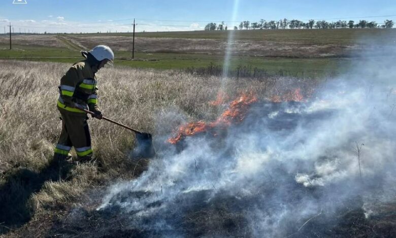 Ліквідація пожеж на Миколаївщині