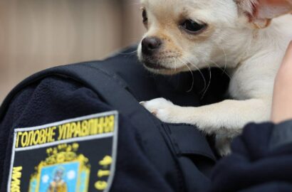Цуценята Каспер та Міккі, яким ювенальні поліцейські допомогли знайти дім у Миколаєві