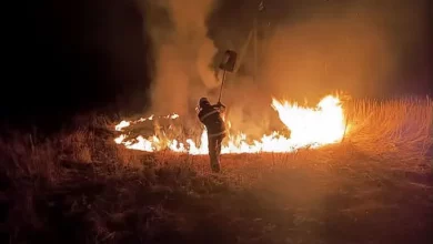 Справа про спалення тіла померлої жінки на городі в селі Ільник на Львівщині