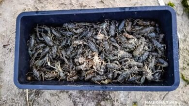 Справа про незаконний вилов раків і риби в Інгулі поблизу Калинівки
