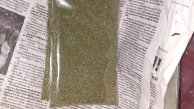 Справа про незаконний обіг канабісу та погрози поліцейським у Вознесенську