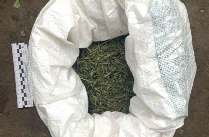 Справа про незаконний обіг канабісу та погрози поліцейським у Вознесенську