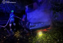 Пожежі покинутого легковика, дерева та сміття в Миколаєві