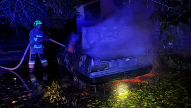 Пожежі покинутого легковика, дерева та сміття в Миколаєві