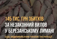 Незаконний вилов риби, креветок і крабів у Березанському лимані на Миколаївщині