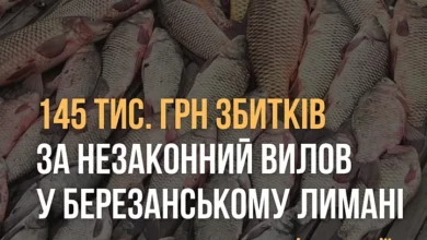 Незаконний вилов риби, креветок і крабів у Березанському лимані на Миколаївщині