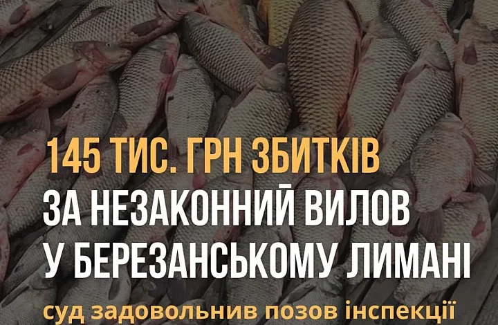 Незаконний вилов риби, креветок і крабів у Березанському лимані на Миколаївщині