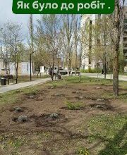 Оновлені зелені зони скверу Вітовський у Миколаєві