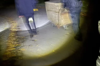 Упіймана маленька тигриця, яка втекла з Миколаївського зоопарку