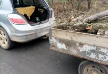 Деревина, яку чоловік перевозив без документів на Миколаївщині