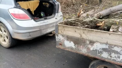 Деревина, яку чоловік перевозив без документів на Миколаївщині