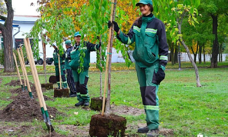 Висадка молодих сакур у парку "Юних героїв" у Миколаєві
