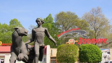 Миколаївський зоопарк, де через затримки платежів виникли борги за корми та комунальні послуги