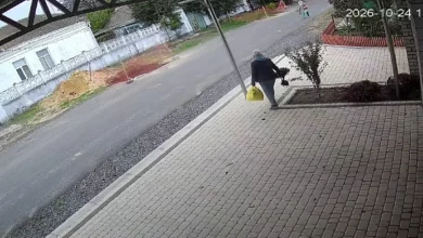 Виривання квітів із клумби в Корабельному районі Миколаєва