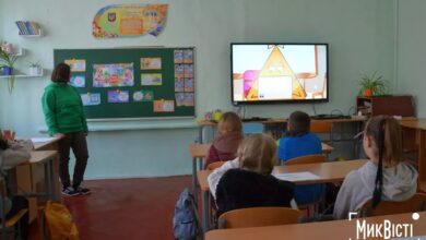 Дистанційне навчання школярів Миколаївщини, які перебувають за кордоном